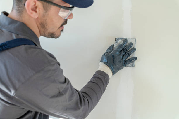 Wallpaper Removal and Painting in Hawthorne, FL